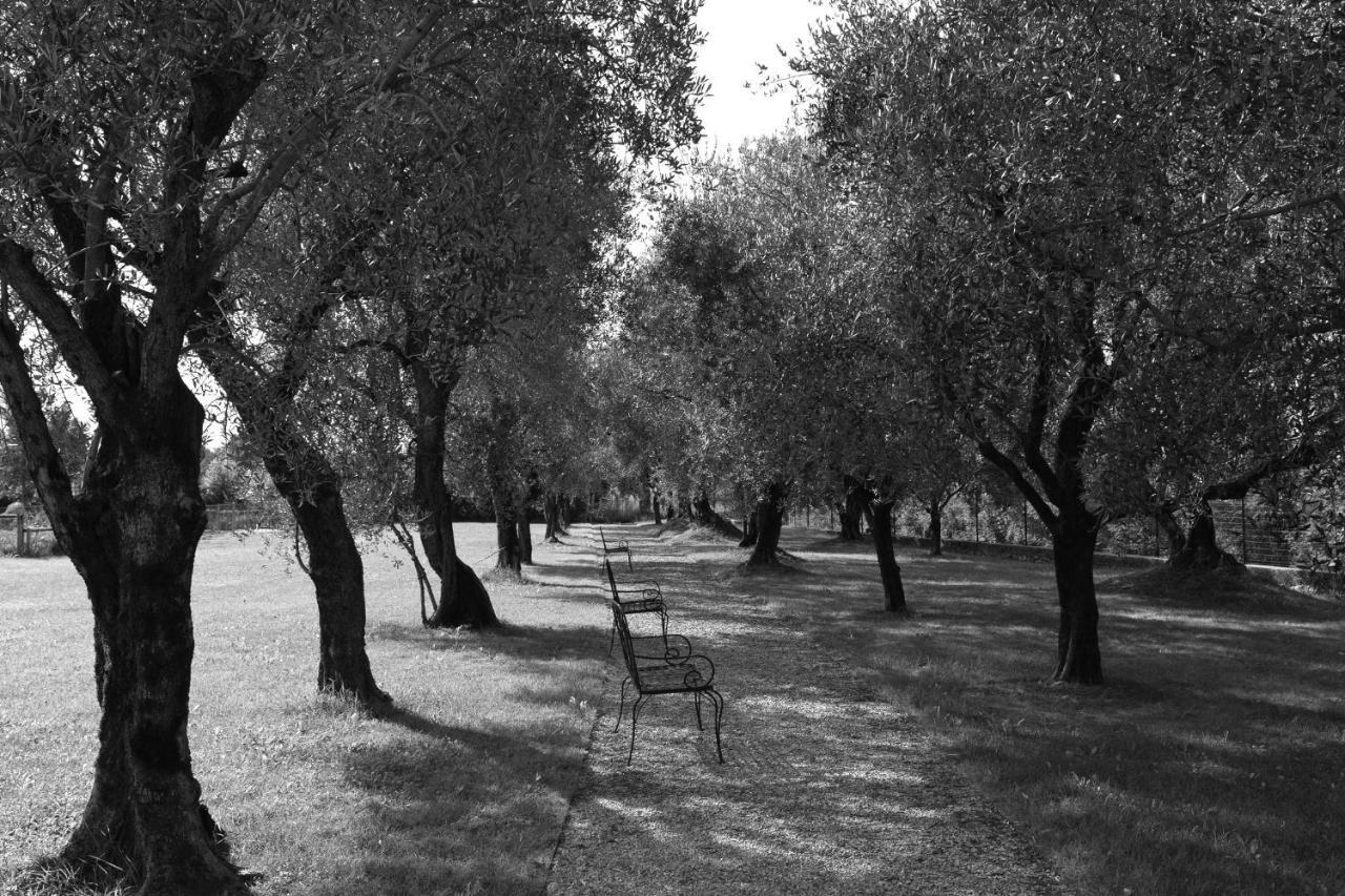 Hotel Villa Ca' Sette Bassano del Grappa Extérieur photo